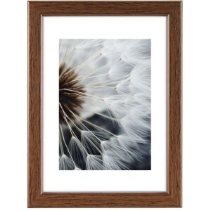 Hama Kunststoffrahmen Breeze 10x15 cm nuss