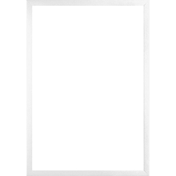 Rama foto din lemn Walther Sevilla albă 50x100 cm, cu sticlă antireflex