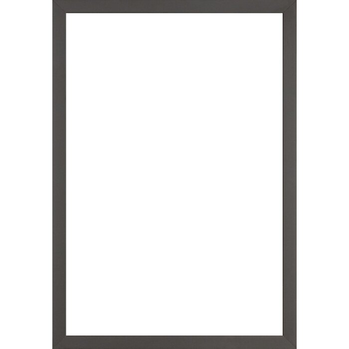 Ramă foto Walther Valencia cu sticlă antireflex, antracit, 25x60 cm