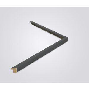 Ramă foto Walther Valencia cu sticlă antireflex, anthrazit, 30,5x91,5 cm