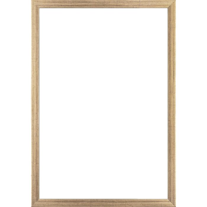 Ramă foto Walther Valencia cu sticlă antireflex, champagner, 30x40 cm