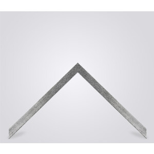 Walther Oviedo ramă foto 45x80 cm argintie cu sticlă antireflex