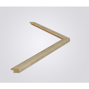 Rama foto Walther Oviedo 45x60 cm champagner cu sticlă antireflex