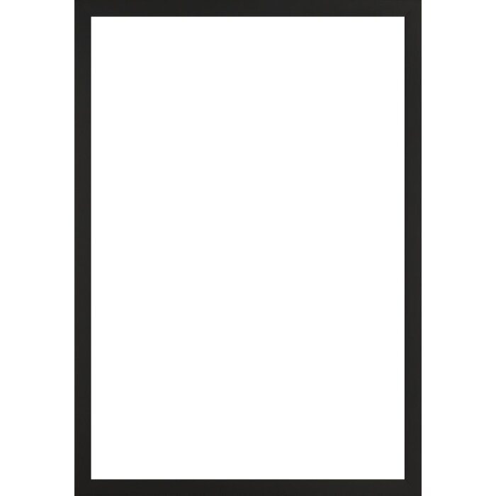Rama foto Walther Sevilla neagră 30,5x91,5 cm, sticlă transparentă