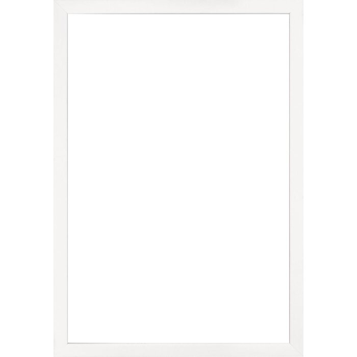 Ramă foto Walther Valencia cu sticlă transparentă albă 23x70 cm