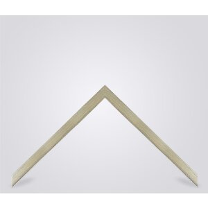 Ramă foto Walther Oviedo 45x80 cm, champagner, sticlă transparentă