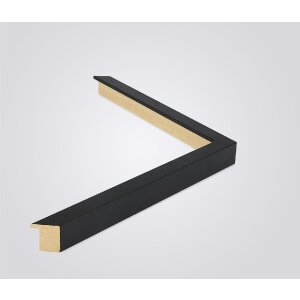 Ramă foto Walther Madrid 40x50 cm, neagră, cu sticlă transparentă