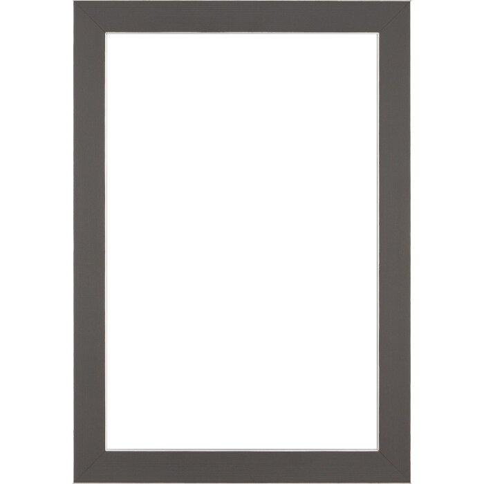 Ramă foto Walther Bilbao gri 35x100 cm, margine argintie, sticlă transparentă