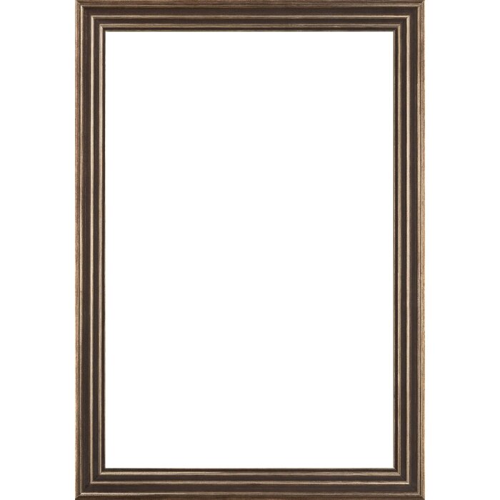 Rama foto Walther Palma neagră 25x50 cm, sticlă transparentă