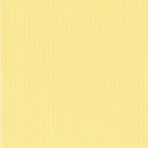 HNFD Passepartout nach Maß - Giallo (sonnengelb)