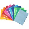 Exacompta Mape de colecție elastic 3 clape carton Manila 400g A4 Nature Future