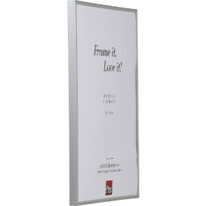 Effect Kunststoffrahmen Art alulike 50x100 cm Klarglas