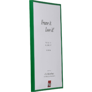 Effect Kunststoffrahmen Art grün 30x30 cm Antireflexglas