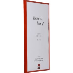 Effect Kunststoffrahmen Art rot 25x60 cm Museumsglas
