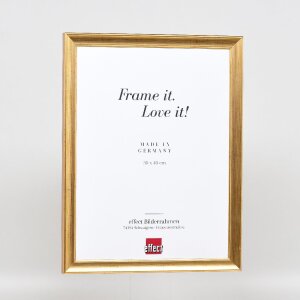 Râmă foto din lemn Profil 41 Antikgold 18x32 cm cu sticlă de muzeu