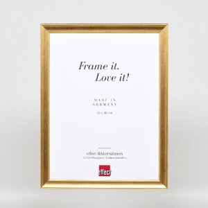 Rama foto din lemn Profil 41 Antikgold 23x70 cm cu sticlă de muzeu