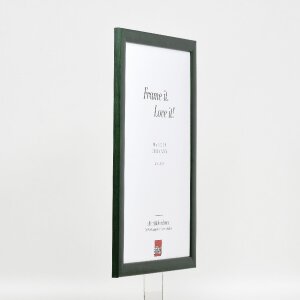 effect Holz-Bilderrahmen Profil 43 tannengrün 59,4x84,1 cm Museumsglas