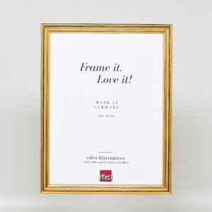 Rama foto Profil 44 aur, 30,5x91,5 cm, cu sticlă de muzeu