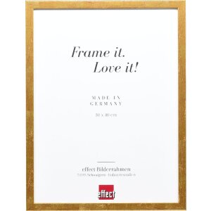 Effect Holzrahmen Profil 51 antikgold 42x59,4 cm Museumsglas