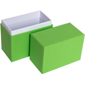 Cutie foto HNFD Cutie foto cu măr Parda 11x5,5x16 cm pentru 200-300 fotografii 10x15 cm