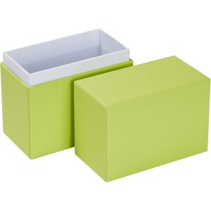 Cutie foto HNFD Parda mai verde pentru 200-300 fotografii 10x15 cm 11x5.5x16 cm