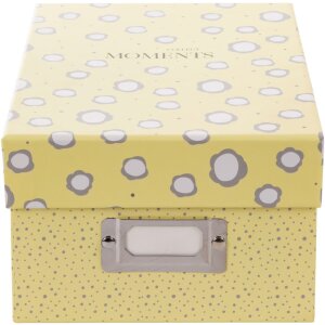 Goldbuch Fotobox Paris 700 Fotos 10x15 cm Aufbewahrungsbox mit Registerkarten