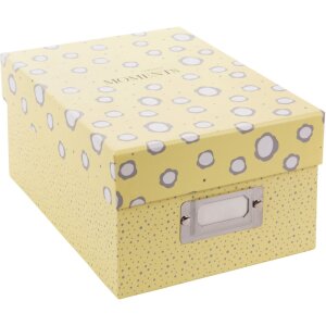 Goldbuch Fotobox Paris 700 Fotos 10x15 cm Aufbewahrungsbox mit Registerkarten