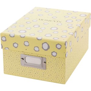 Goldbuch Fotobox Paris 700 Fotos 10x15 cm Aufbewahrungsbox mit Registerkarten