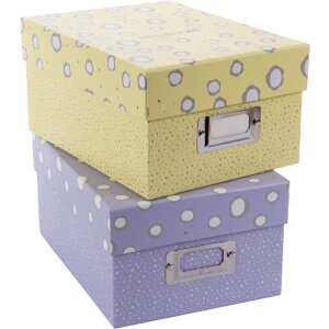 Goldbuch Fotobox Paris 700 Fotos 10x15 cm...