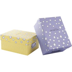 Goldbuch Fotobox Paris 700 Fotos 10x15 cm Aufbewahrungsbox mit Registerkarten