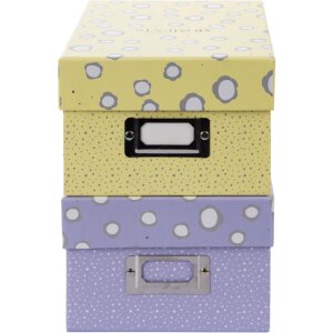 Goldbuch Fotobox Paris 700 Fotos 10x15 cm Aufbewahrungsbox mit Registerkarten