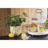 Clayre & Eef 6CE1531S Ghiveci de flori galben bej 18x7x7 cm Model botanic