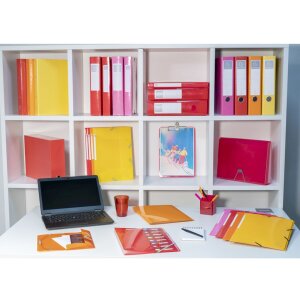 Exacompta Sammelmappe 3 Klappen Gummizug A4 Maxi Capacity 300 Blatt Iderama