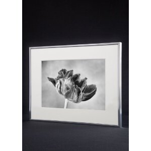 Rama foto Accent 42x59,4 cm, argint mat – Nielsen
