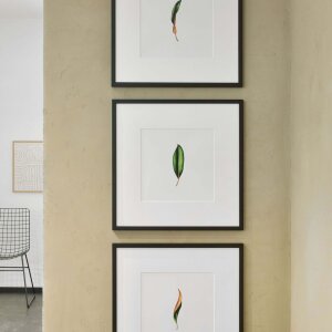 Nielsen Quadrum cadru din lemn 50x50 cm lemn de pin negru sticlă normală