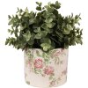 Sticlă ceramică pentru plante interioare Beige Rosa 12x10 cm