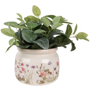 Sticlă ceramică cu plante Beige Rosa Ø 20x15 cm...