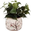 Capac pentru plante interioare Clayre & Eef, ceramică, bej-brun, Ø 20x15 cm