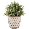 Sticlă ceramică pentru plante interioare Clayre & Eef, bej-negru, Ø13x12 cm