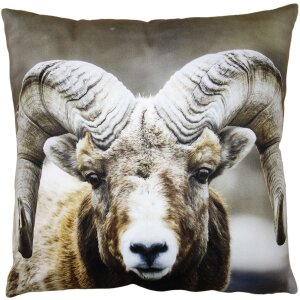 Clayre & Eef KT021.335 Kissenhülle Braun 45x45 cm