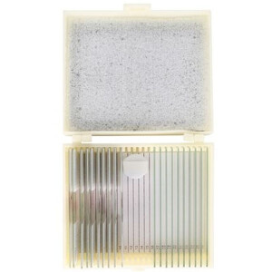 Konus Preparateset Human Body 25 Stück Mikroskopie Biologie Lernmaterial