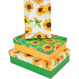 Goldbuch Kartonagen-Set Sunflower 3 Kartonagen...