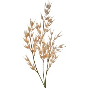 Clayre & Eef 5PL0059 Dekoration Zweig 6x6x72 cm Braun