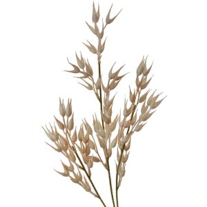 Clayre & Eef 5PL0061 Deko-Zweig Beige Natur-Optik...