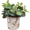 Clayre & Eef 6TE0523M Blumentopf Terrakotta Beige Ø 18x15 cm Landhausstil