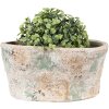Clayre & Eef 6TE0533M Ghiveci de flori bej verde 22x13x11 cm