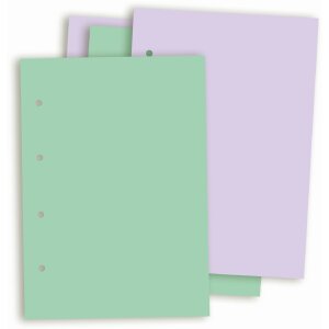 Carton foto Goldbuch A4 23x30 cm 20 foi pentru mecanism...