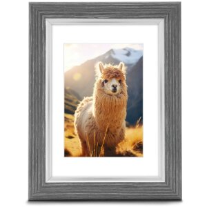 Hama Kunststoffrahmen Lima Graphitgrau 20x30 cm