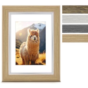 Ramă foto din plastic Hama Lima 10x15 cm până la...