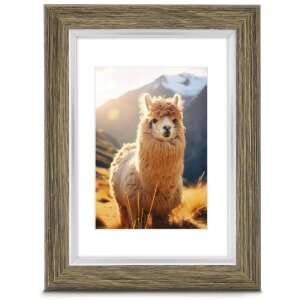 Ramă foto din plastic Hama Lima 10x15 cm până la...